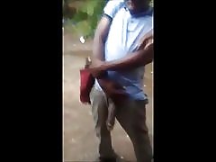 Menampilkan ayam kuda untuk pelacur