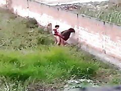 Jalang memberikan cu di avenida brasil